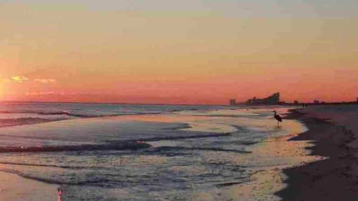 Northeast Pensacola House | Tradewinds Pensacola 1 bedroom northeast cottage