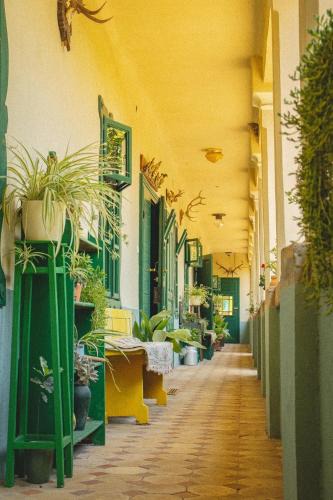 Bilje House | Tradicionalna Kuća Biljkinog oca