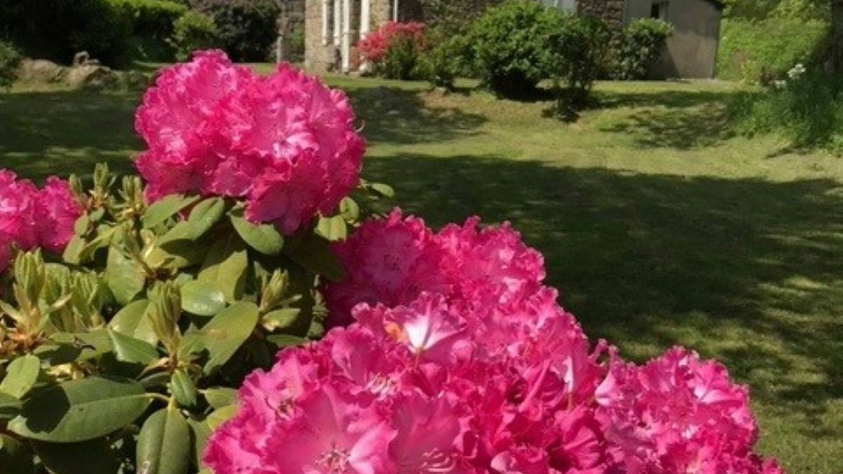 Lanrivain House | Traditional Breton Penty in the heart of Brittany.
