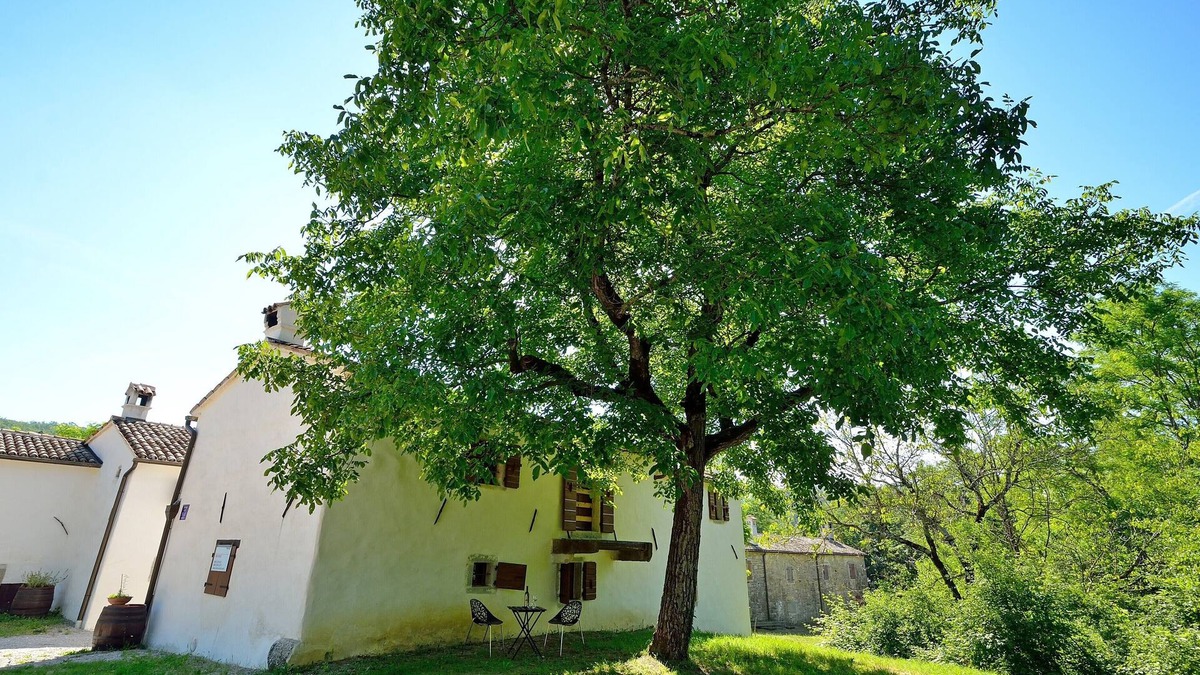 Buzet House | Traditional Stone House 6