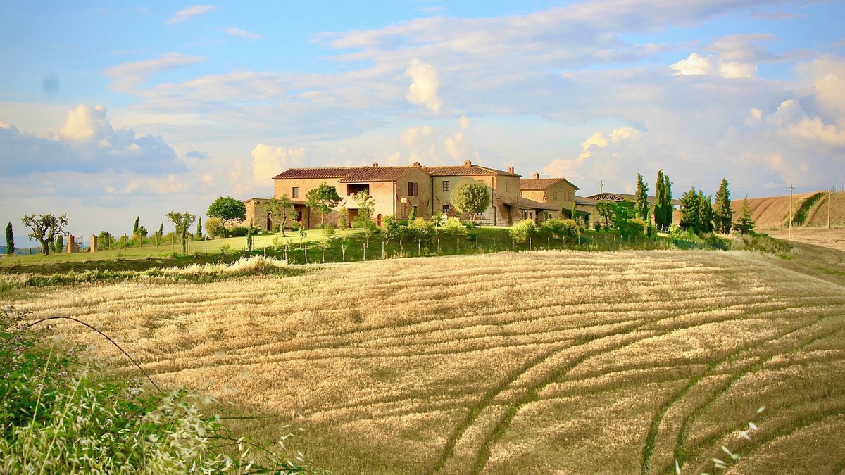 Montalcino Other | Traditional Tuscan farmhouse with breathtaking views 19 Minutes from Montalcino