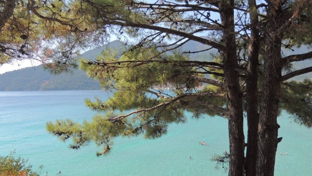 Golden Beach Villa | Traditional Villa with Wifi and Air Conditioning at only 150m from the Beach !