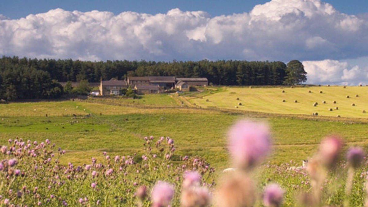 Haydon Bridge Cottage | Tranquil 3 Bed - All En Suite - Cottage in Hexham