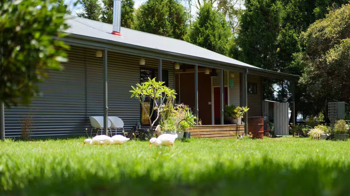Mangrove Mountain House | Tranquil Central Coast Farmstay: feed animals + farm tour for couples & families