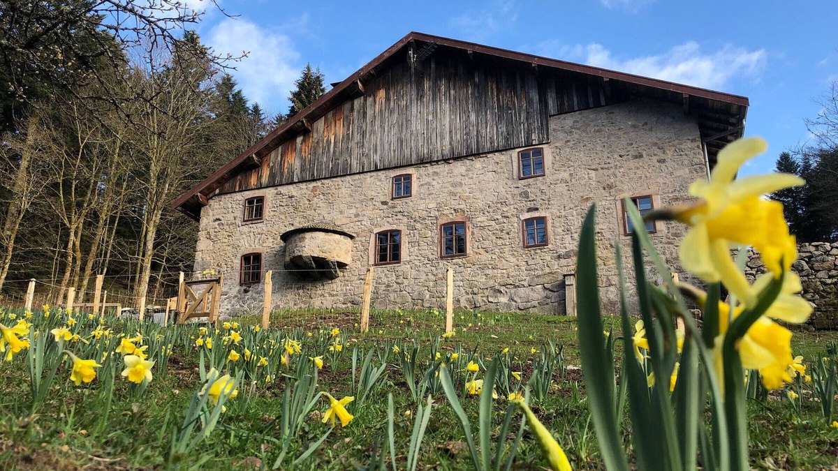 Sapois Apartment | Tranquil Farmhouse Retreat in Vosges with Parking