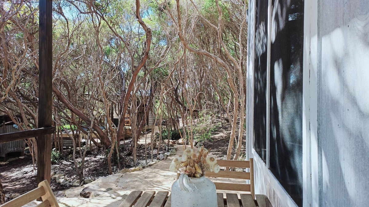 Newland House | Tranquil getaway amongst Melaleucas