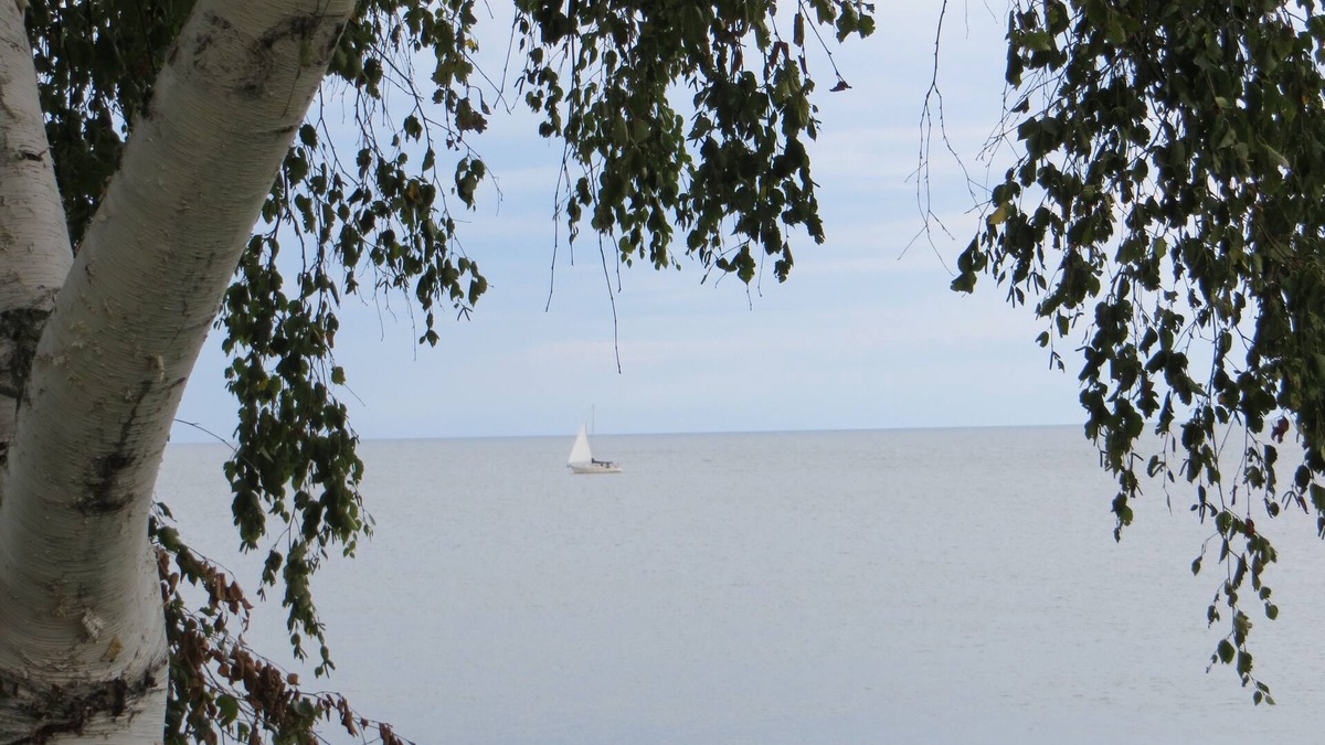 Olcott Cottage | Tranquil lakefront cottagen3 bedrooms 2 bath, sleeps 6