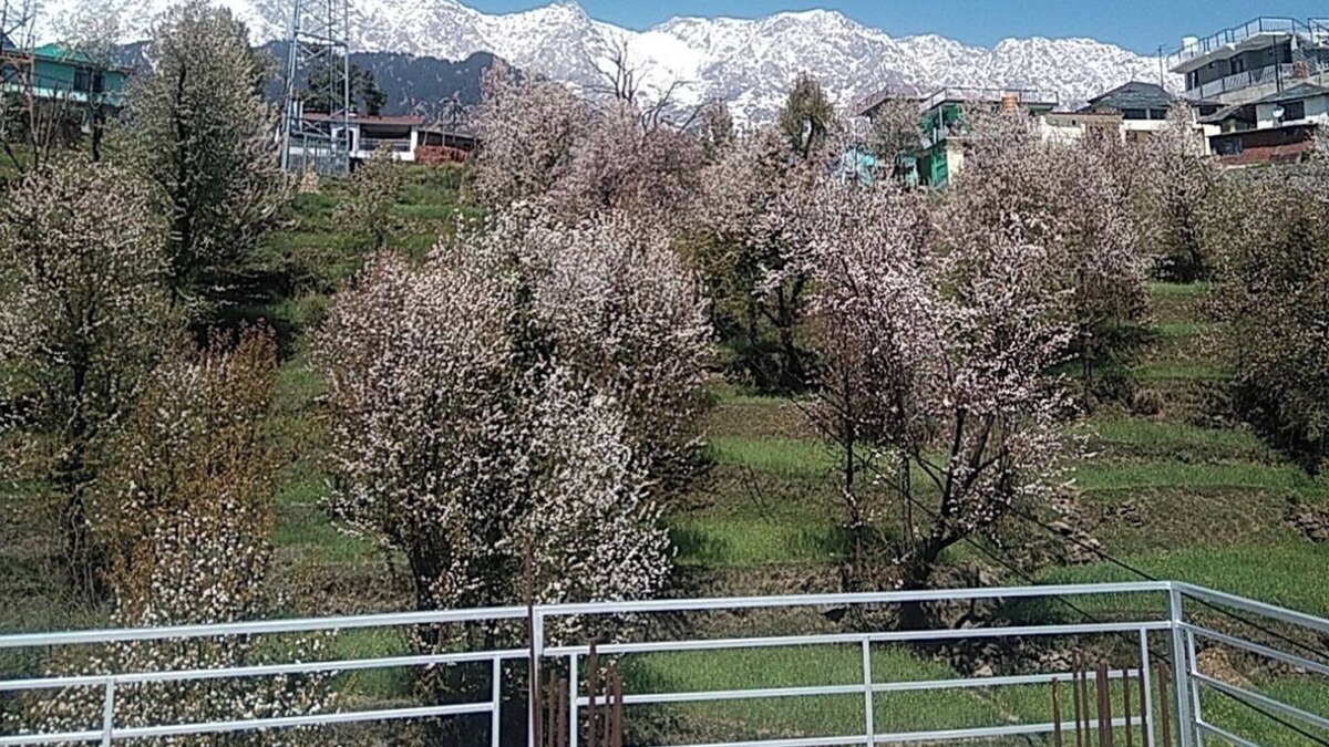 Naddi Bed & Breakfast | Tranquil Trails Naddi SunRise