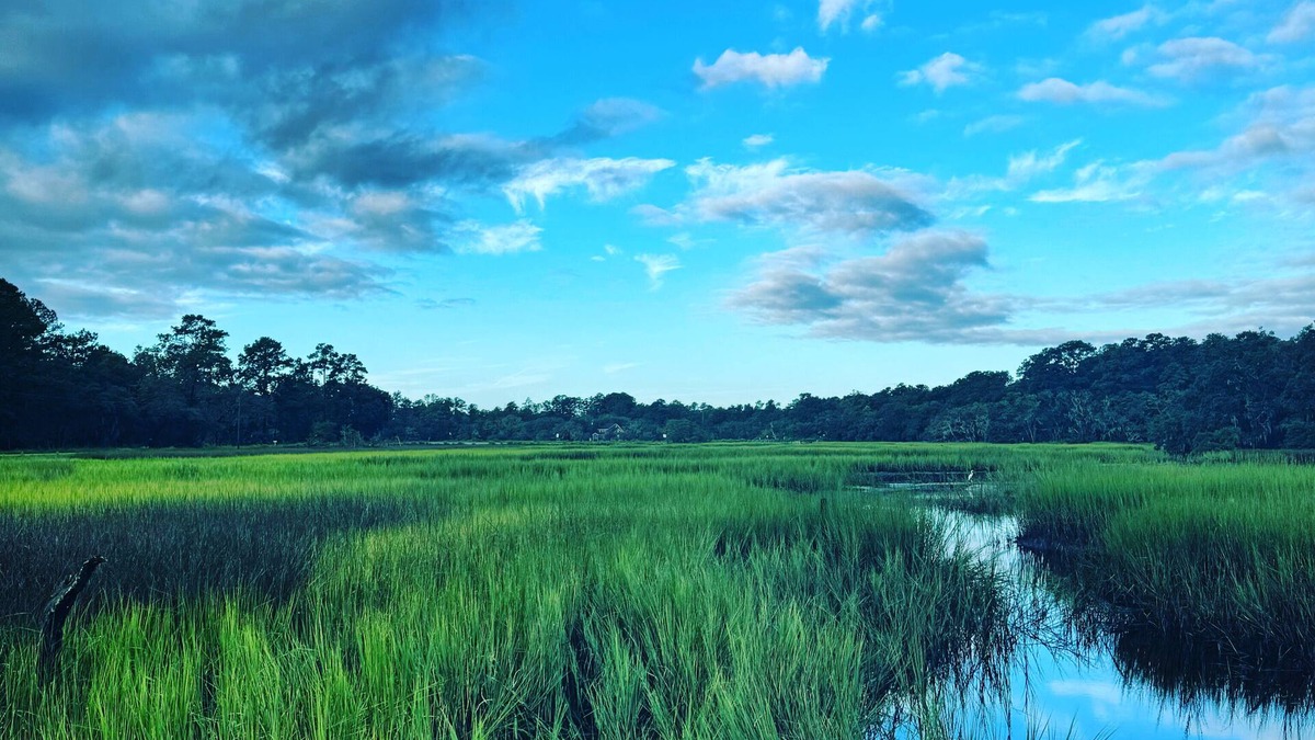 Redhill Cottage | Tranquil Water Front cottage, 35 Min to Charleston, Beach 20 min, Pet-Friendly
