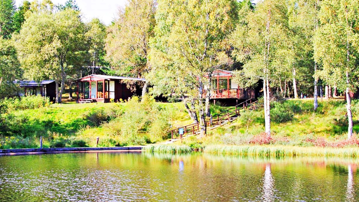 Carrbridge Condo | Tranquil Woodland Condo Resort