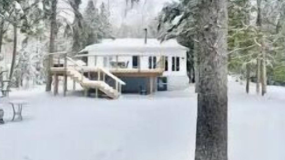 Feronia Cottage | Tranquility on Trout Lake