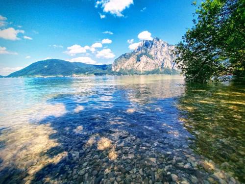 Altmuenster Apartment | Traunsee Apartment