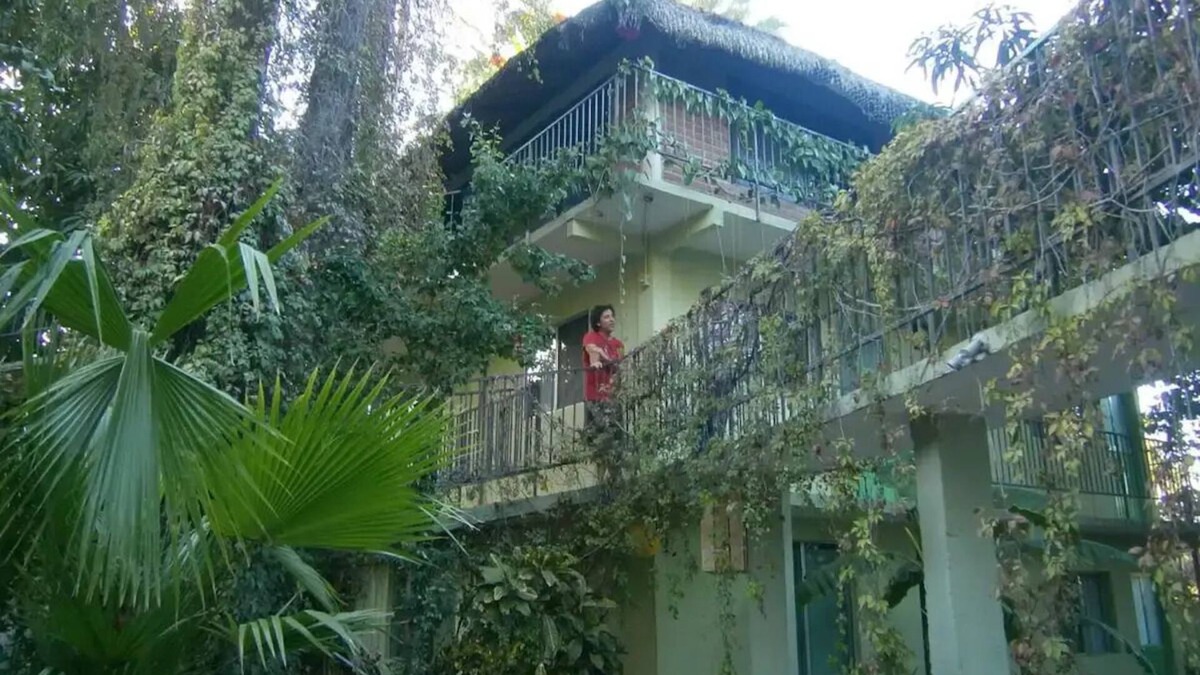 San Jose del Cabo Bed & Breakfast | Traveller's place with the best location!nn
