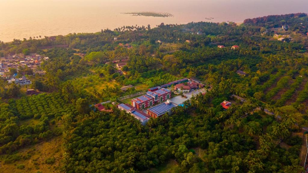 Bordi Hotel | Treat Beach Resort