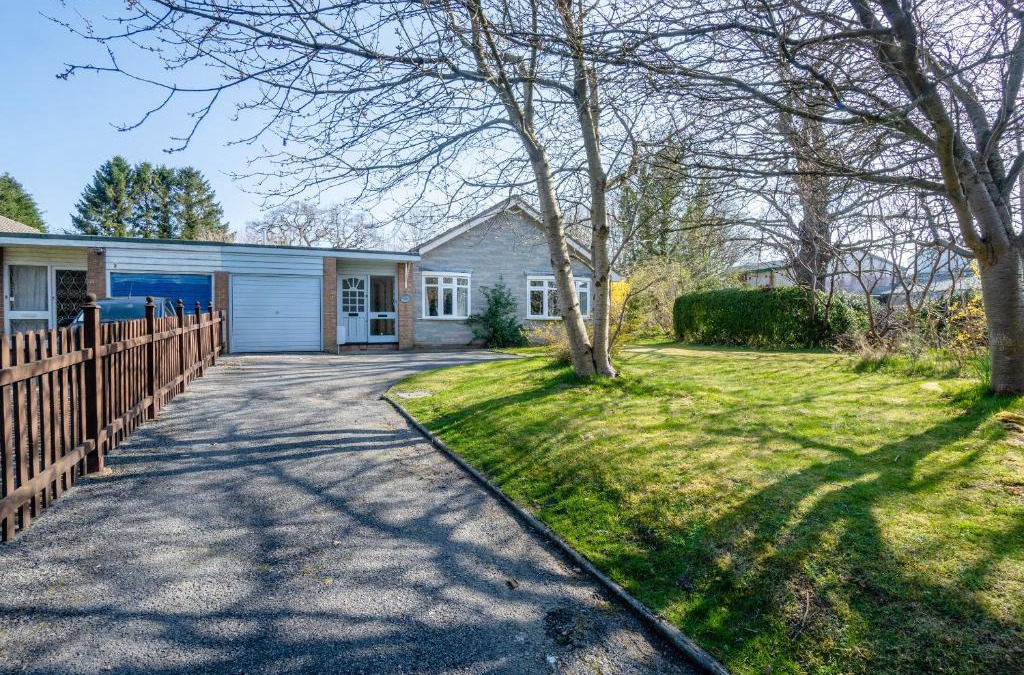 Rhayader House | Trederwen