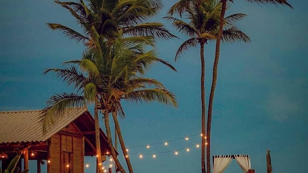 Subauma Hotel | Tree Bies Resort