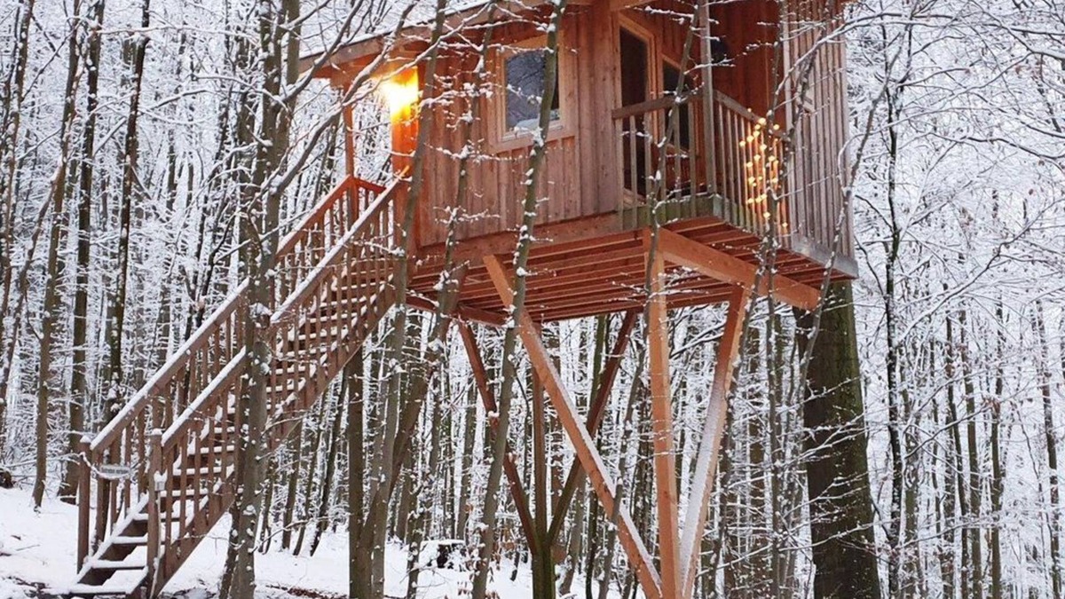 Solling Apartment | Tree house free space, living/sleeping room - Baumhaushotel Solling