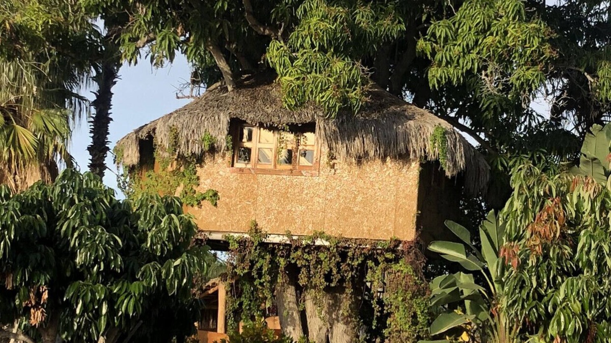 Todos Santos House | TREE HOUSE located on Rancho Danza del Sol