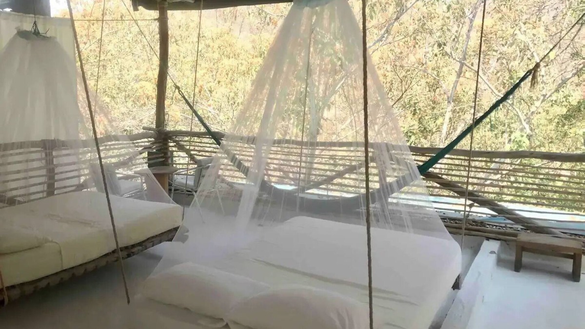 Arroyo Cruz House | Tree house Pergola Swimming pool at a virgin beach
