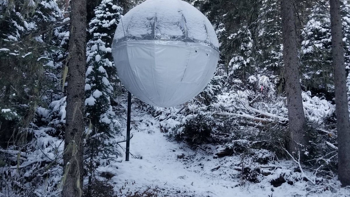 West Glacier Resort | Tree House Tent Cocoon #01