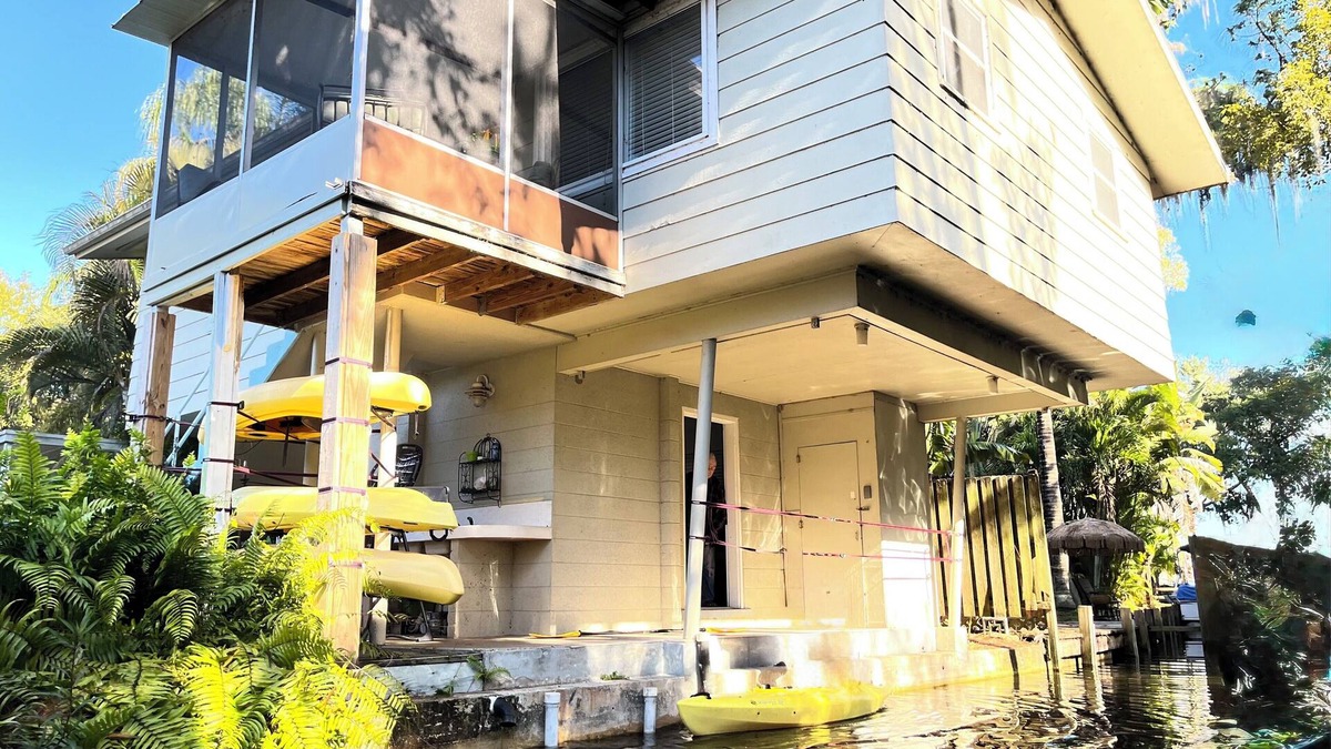 Tarpon Springs House | Tree House Treasure - elevated home hovering over the lagoon with 4 kayaks!