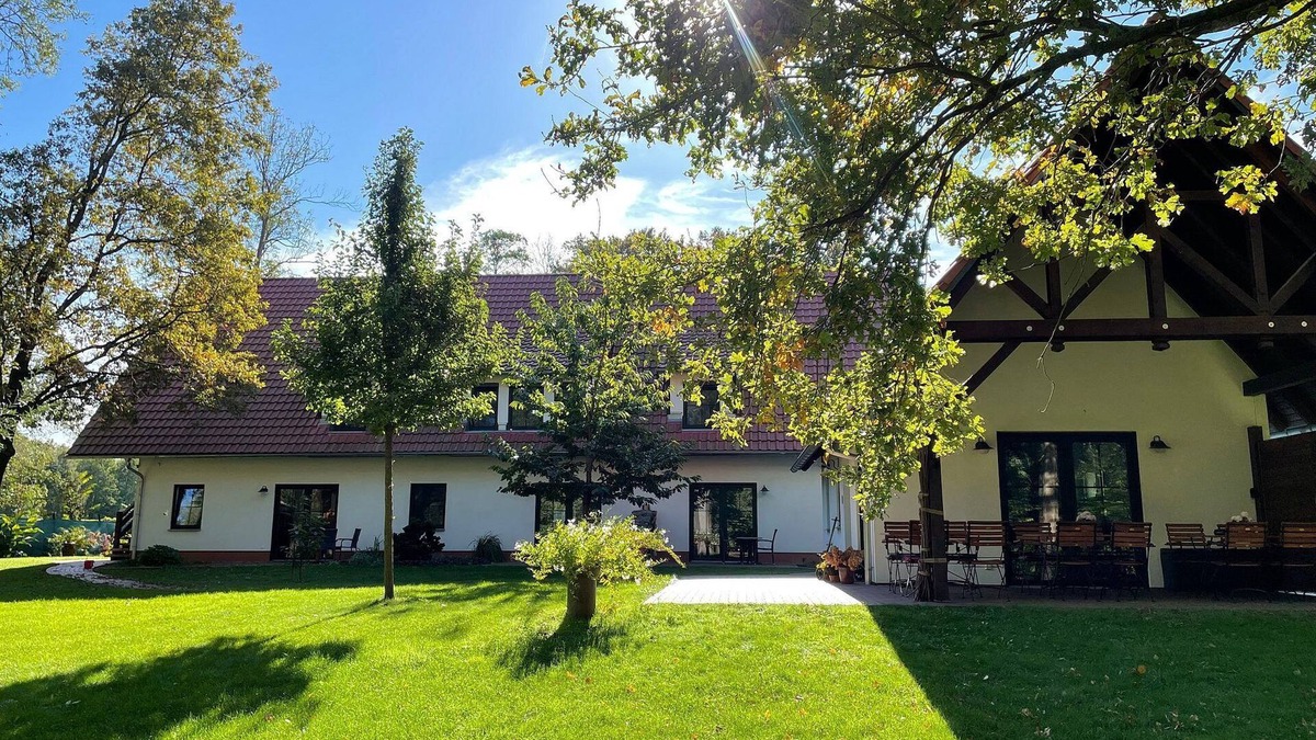 Burg-Kauper Apartment | Tree house tree 4 - Tree house