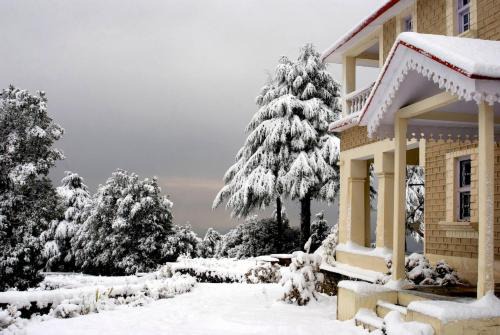 Binsar Resort | Tree of Life Grand Oak Manor Binsar