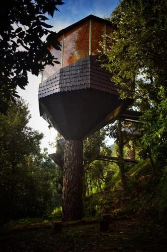 Almora Resort | Treecasa Resort