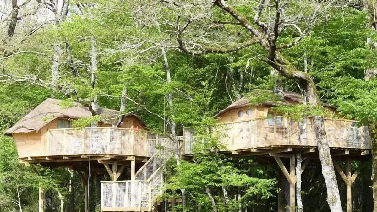 Dienne Cabin | Treehouse 4 People