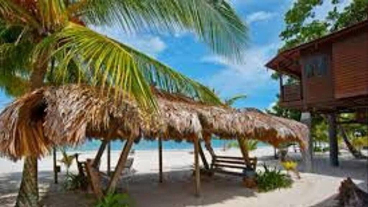 Lubok Buaya House | Treehouse Beachfront(small) Cenang Beach Langkawi