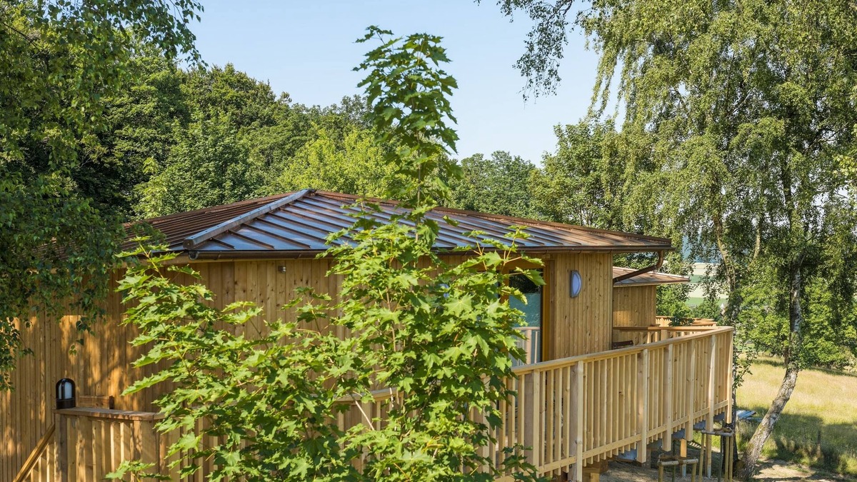 Aerzen Cabin | Treehouse Birkenhöhe - Aerzener Baumhaushotel Waldquelle