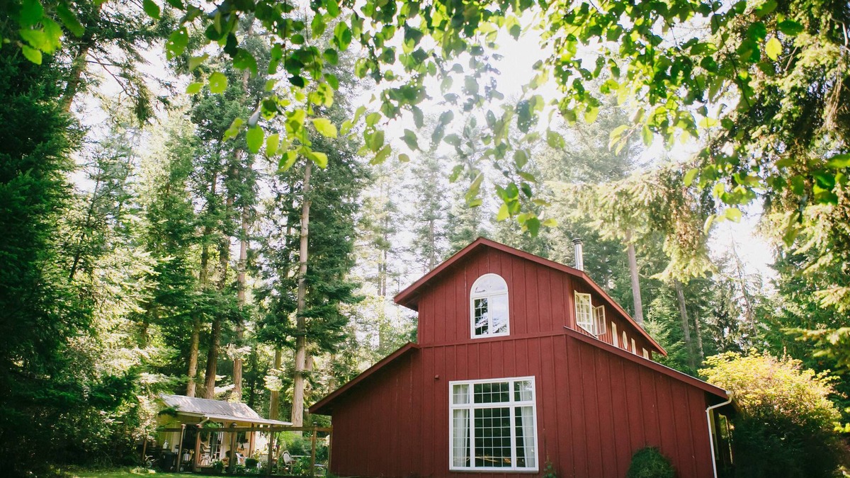 Olga Apartment | Treetop Pastoral Views, Beach Access, Beautiful Light in Converted Barn Apt.