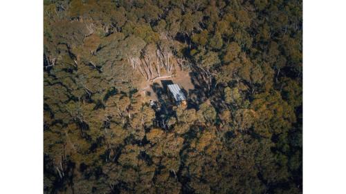 Walmer House | Treetops Farmstay 2 by Tiny Away