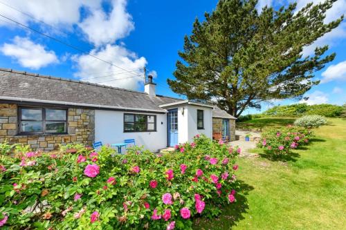 Abersoch Apartment | Trefaes Bach