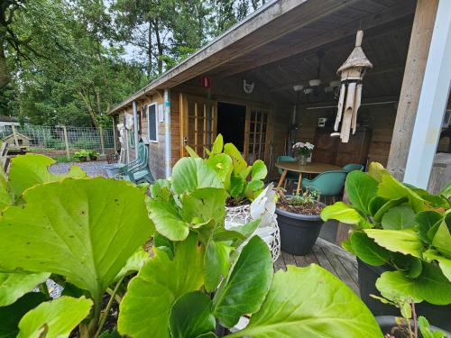 Loon Other | Trekkershut - De Hollandse Boerderij