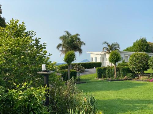 Tauranga House | Tropical Avocado Orchard Escape Ohauiti