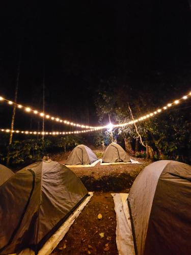 Vayittiri Other | Tropical camping