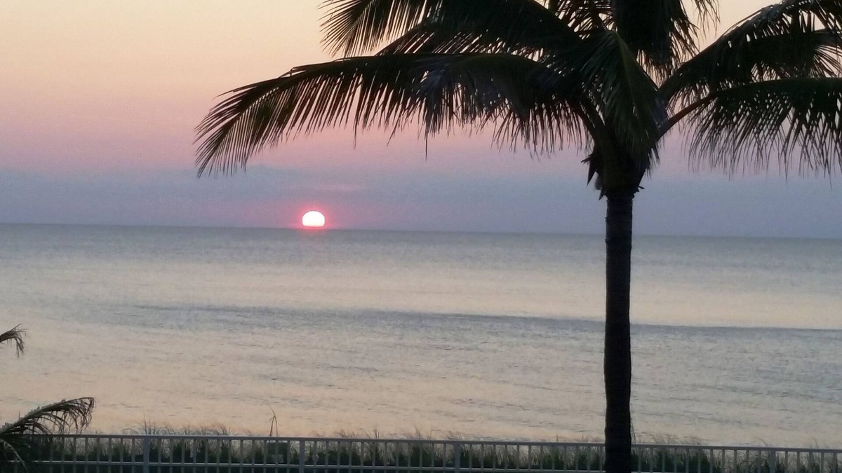 Hutchinson Island South Condo | Tropical Paradise Oceanfront Condo - Pool and Restaurant