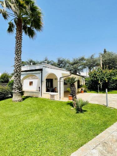 Noci House | Trulli Ada
