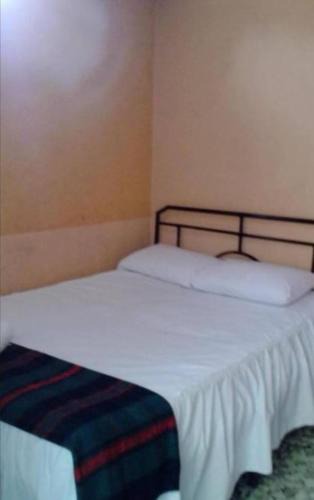 Comas House | Tulipaneslima