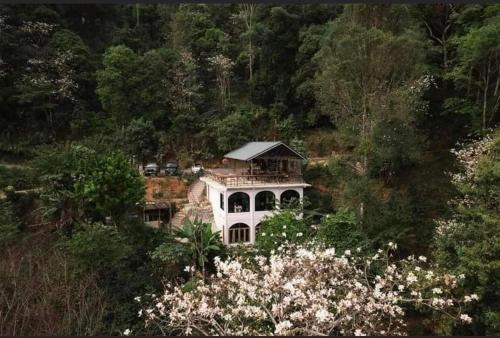 Mae On Cabin | Tumnanbanpok ตำนานบ้านป๊อก