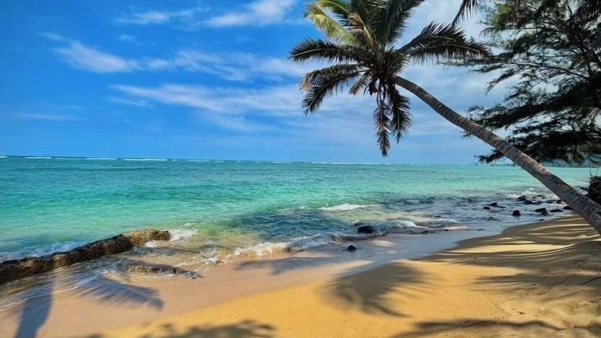 Punaluu Condo | Turtle Beachfront, snorkeling, free parking, wash-dryer in unit, New bigger AC.