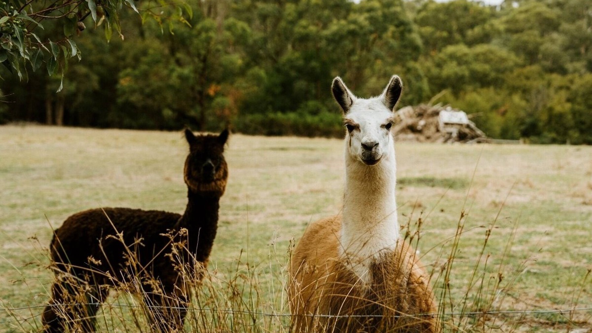 Don Valley Other | Tuscan Farmhouse
