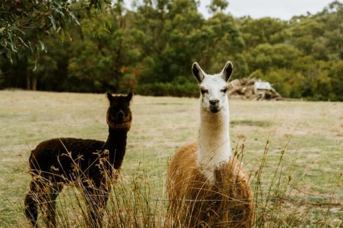 Don Valley House | Tuscan Farmhouse