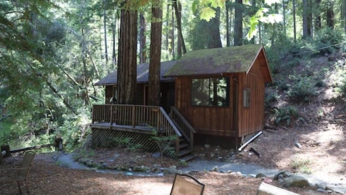 Garberville Cabin | "Twin Trees" Cabin River Access In Redwoods WiFinn