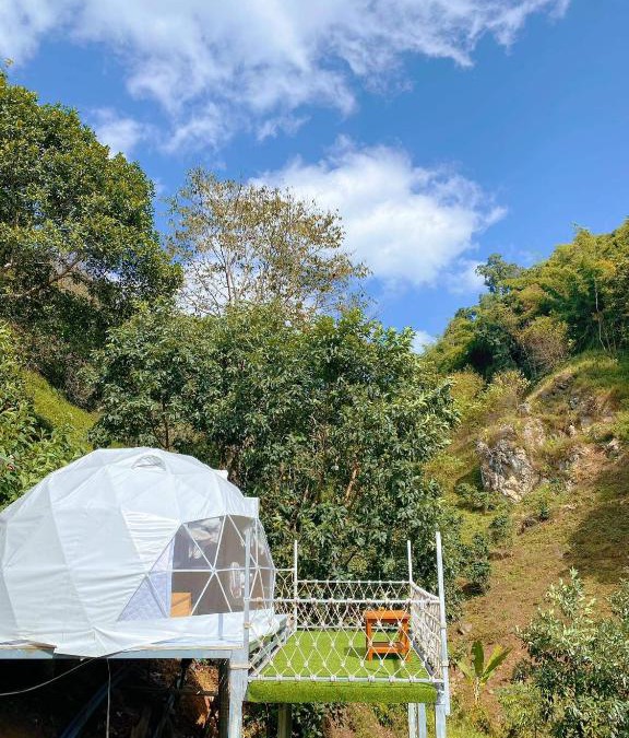 Mae Fa Luang Other | Twins camping