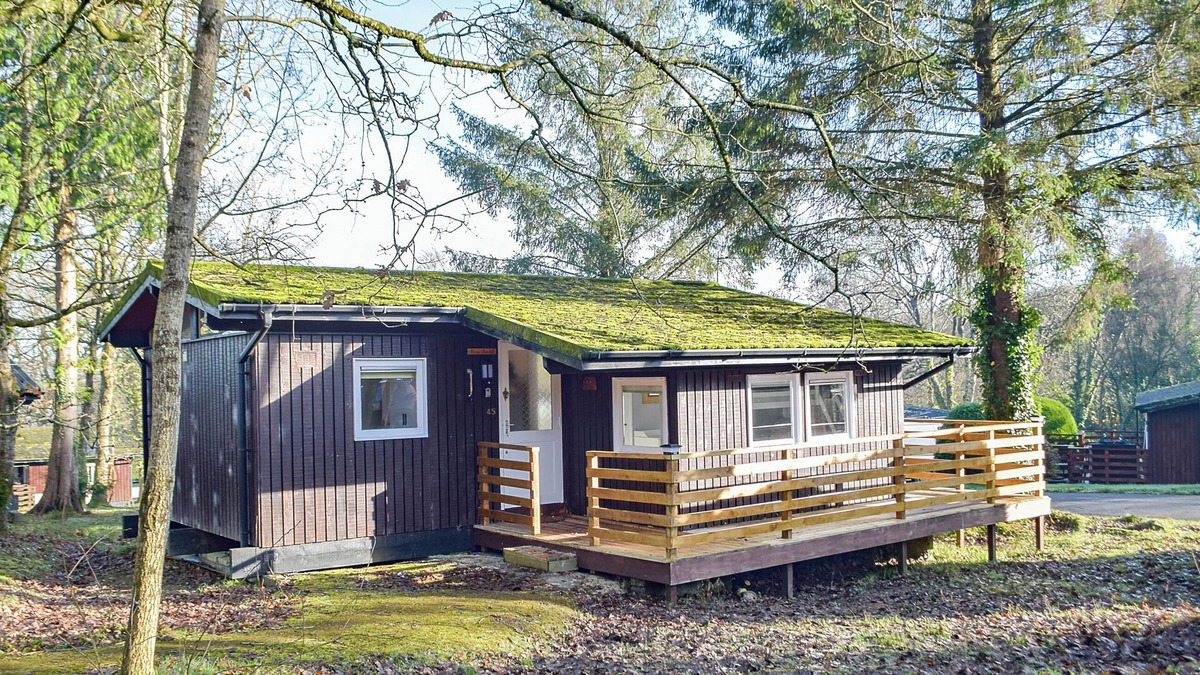 Cenarth Cottage | Twit Too Woo - UK6760