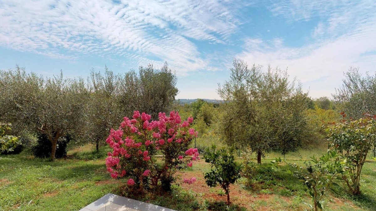 Vilanija Apartment | Two bedroom apartment with terrace Vilanija, Umag (A-17240-a)