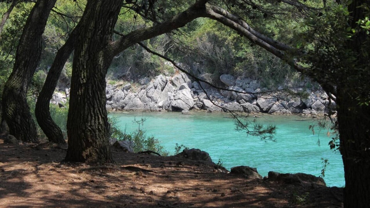 Salatic Apartment | Two bedroom apartment with terrace Vrh, Krk (A-17951-a)