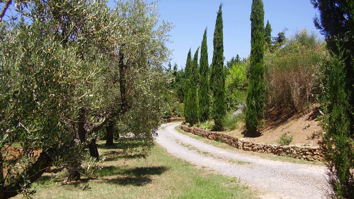 Collemezzano Apartment | Two-room apartment in the countryside 4 km from the sea